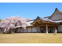 京都駅前　さと茂旅館の周辺観光情報 - 宿泊予約は＜じゃらん＞