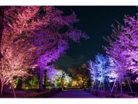 EN HOTEL Kyotoの周辺観光情報 - 宿泊予約は＜じゃらん＞