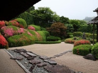 【頼久寺のサツキ】アクセス・イベント情報 - じゃらんnet