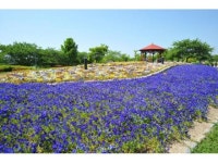 【農業文化園・戸田川緑地　秋の物語】アクセス・イベント情報 - じゃらんnet