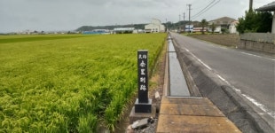 条里制遺跡の口コミ一覧 - じゃらんnet