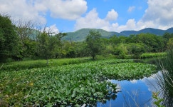 箱根湿生花園の口コミ一覧 - じゃらんnet