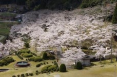 市島町徳尾の観光スポットランキングTOP3 - じゃらんnet