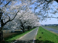 チサンイン土浦阿見の周辺観光情報 - 宿泊予約は＜じゃらん＞