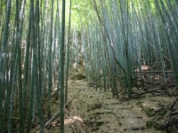 美里の湯　かじか荘の周辺観光情報 - 宿泊予約は＜じゃらんnet＞