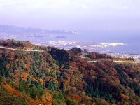みかわ温泉　海遊亭　Ｒｙｏｋａｎ　Ｒｅｓｏｒｔの周辺観光情報 - 宿泊予約は＜じゃらんnet＞