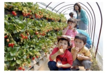 東静岡駅周辺の観光スポットランキングTOP10（7ページ目） - じゃらんnet