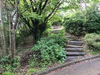 【詩歌の森公園】アクセス・営業時間・料金情報 - じゃらんnet