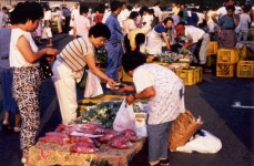 中央台（千葉県）の観光スポットランキングTOP2 - じゃらんnet