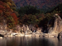 ペット同室宿泊パイオニアの宿　きぬ川国際ホテルの周辺観光情報 - 宿泊予約は＜じゃらんnet＞