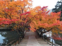 【円通寺もみじ祭】アクセス・イベント情報 - じゃらんnet