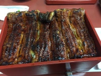 駿河屋の特上うな重 - 駿河屋の口コミ - じゃらんnet