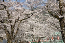 天龍村（下伊那郡）の公園・庭園ランキングTOP1 - じゃらんnet
