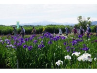 【木場潟公園花菖蒲まつり】アクセス・イベント情報 - じゃらんnet