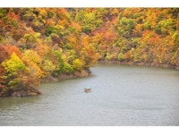 【青葉湖の紅葉】アクセス・イベント情報 - じゃらんnet