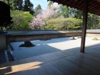【龍安寺の桜】アクセス・イベント情報 - じゃらんnet
