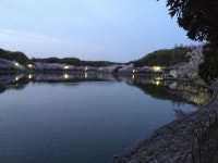 明石公園菊花展覧会周辺の観光スポットランキング - じゃらんnet