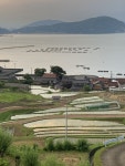 日引の棚田の口コミ一覧 - じゃらんnet