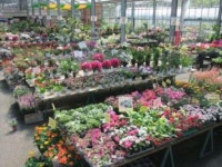 全国のショッピングランキングTOP10（28ページ目） - じゃらんnet