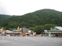 よっちんさんの道の駅　「天城越え」　昭和の森会館のクチコミ - 道の駅 天城越え 昭和の森会館の口コミ - じゃらんnet