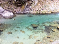 五日市メープルマリーナフェア＆マリーナ施設見学会周辺の観光スポットランキング - じゃらんnet