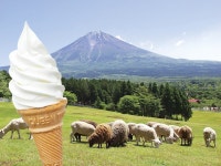景色もごちそう！牧場で食べる絶品ミルクソフトクリーム♪【東海】