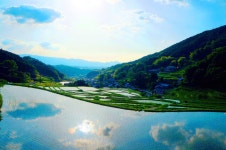 奈良ドライブ定番コース！世界遺産や自然を巡るおすすめルート - じゃらんレンタカードライブガイド