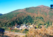 장흥군가지산산림욕장 가지산산림욕장