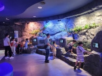 강진 호산나어린이집 친구들의 물과학관 관람~!! - 장흥 정남진 물과학관 강진 호산나어린이집 친구들의 물과학관 관람~!!