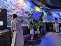 강진 은파어린이집 관람 - 장흥 정남진 물과학관 강진 은파어린이집 관람