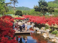 봄입니다~~~~ - 장흥오토캠핑장 봄입니다~~~~