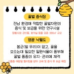 영광 낙월도에 꿀벌자원 육성품종 증식장 개소 - 농업기술센터 영광 낙월도에 꿀벌자원 육성품종 증식장 개소 