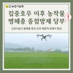 집중호우 이후 농작물 병해충 중점방제 당부 - 농업기술센터 집중호우 이후 농작물 병해충 중점방제 당부
