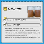 축산농가 조사료 이제는 기능성으로 승부 - 농업기술센터 축산농가 조사료 이제는 기능성으로 승부 