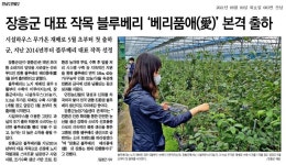 장흥군 대표 작목 블루베리 베리품애(愛) 본격 출하 - 농업기술센터 장흥군 대표 작목 블루베리 베리품애(愛) 본격 출하