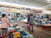 정남진토요시장 상설시장(어물전) 풍경 - 장흥문화관광 홈페이지 정남진토요시장 상설시장(어물전) 풍경