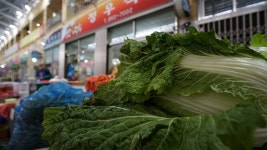 정우식품 - 토요시장 정우식품