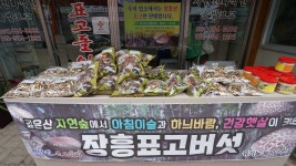 정남진 표고돌이 - 토요시장 정남진 표고돌이