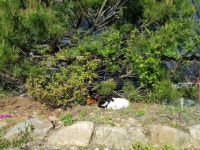 하늘공원 한옥민박 - 장흥문화관광 홈페이지 하늘공원 한옥민박