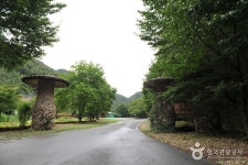 휴양림 봄 - 유치자연휴양림 휴양림 봄