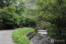 휴양림 봄 - 유치자연휴양림 휴양림 봄