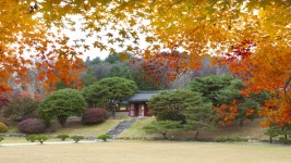 볼거리/즐길거리 > 공원/휴양림/관광지 > 논개사당(의암공원) > 논개사당(의암공원)| 장수여행