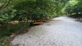 맛집/숙박/특산물 > 숙박 > 민박 > 휴양촌산장민박| 장수여행