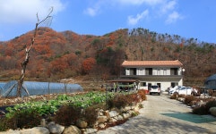맛집/숙박/특산물 > 숙박 > 민박 > 힐링산장| 장수여행