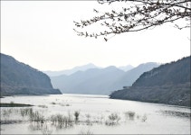 게시물 보기 페이지