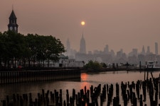 Tag - The Japan Times 