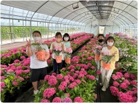게시물 보기 페이지