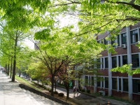 전북대학교 | 대마왕