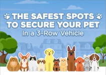 pet_safety_720.png | J.D. Power pet_safety_720.png