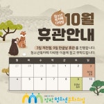 게시판 게시판(상세보기)